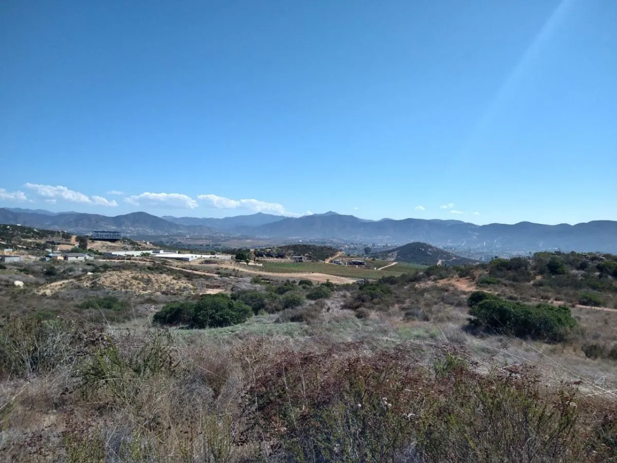 Terreno Spot2