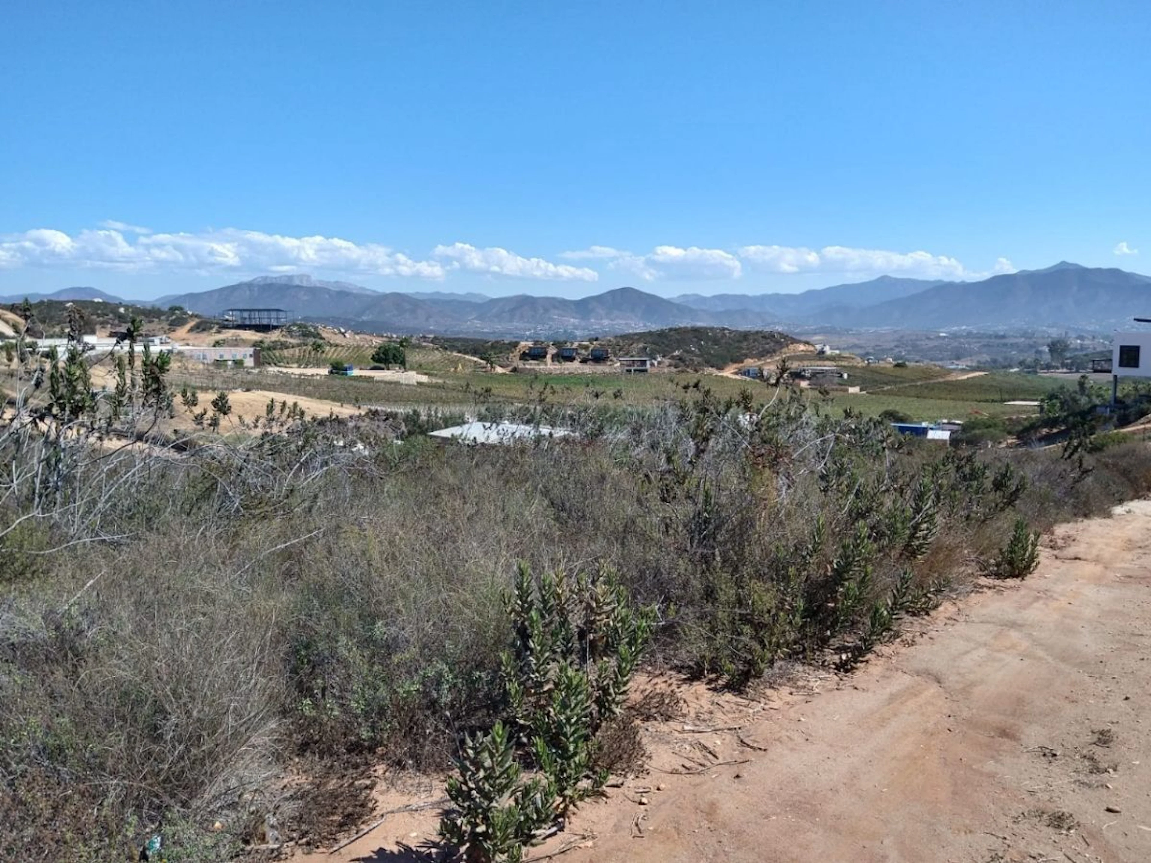 Terreno Spot2