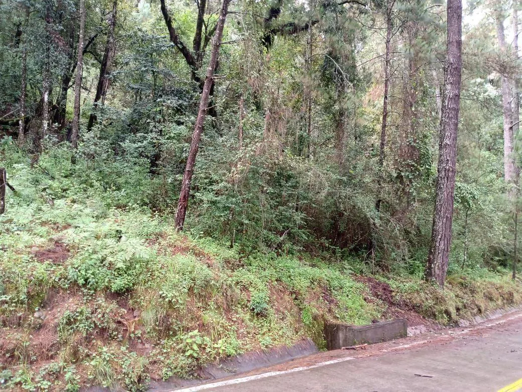 Terreno Spot2
