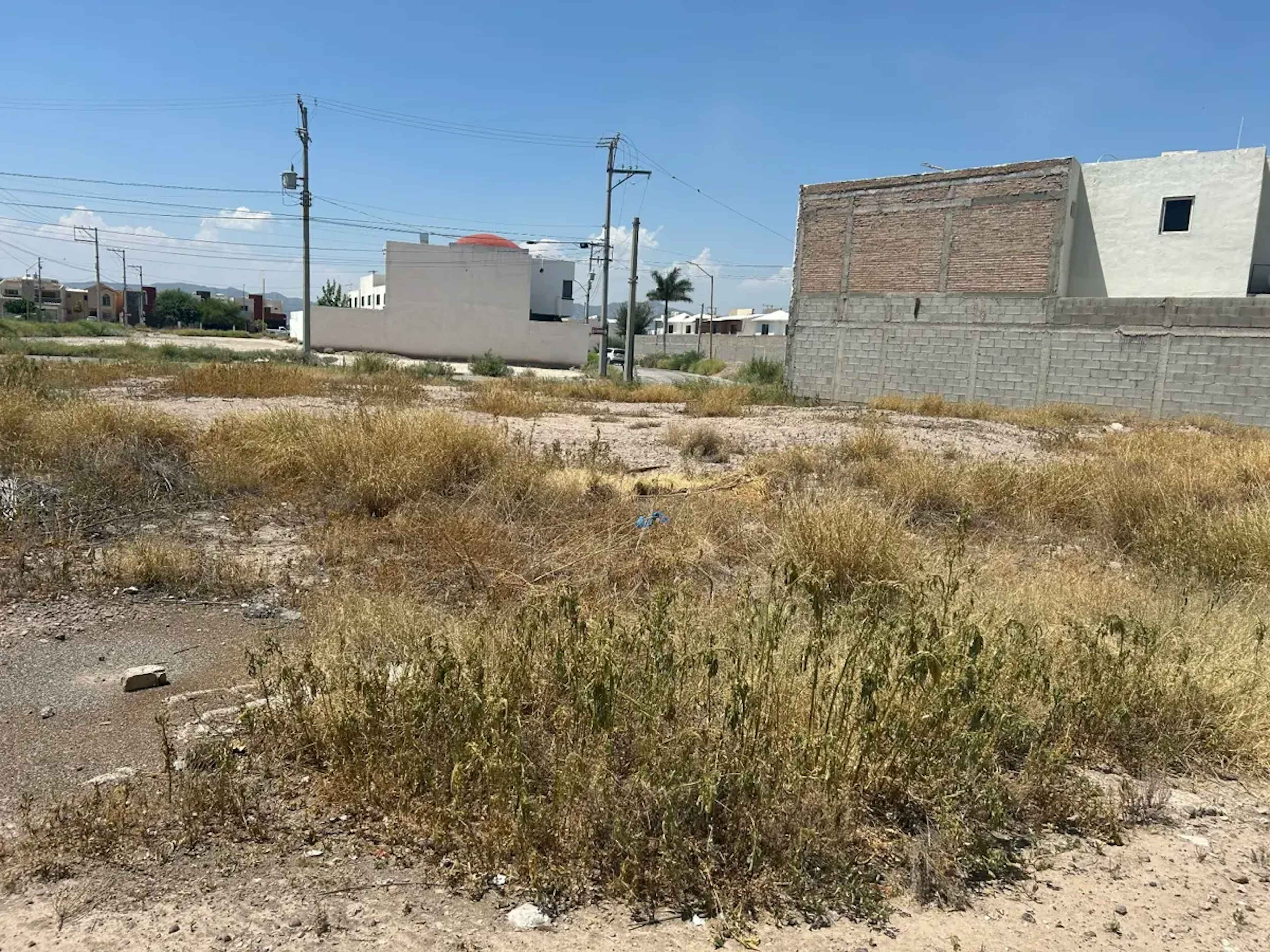 Terreno En Renta En Las Quintas, Torreón, Coahuila De Zaragoza