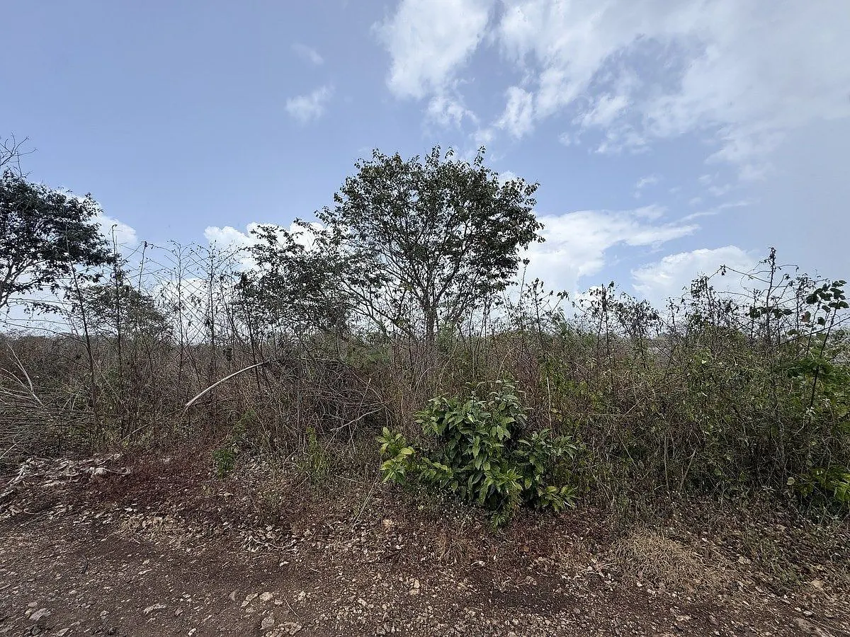 Terreno Spot2
