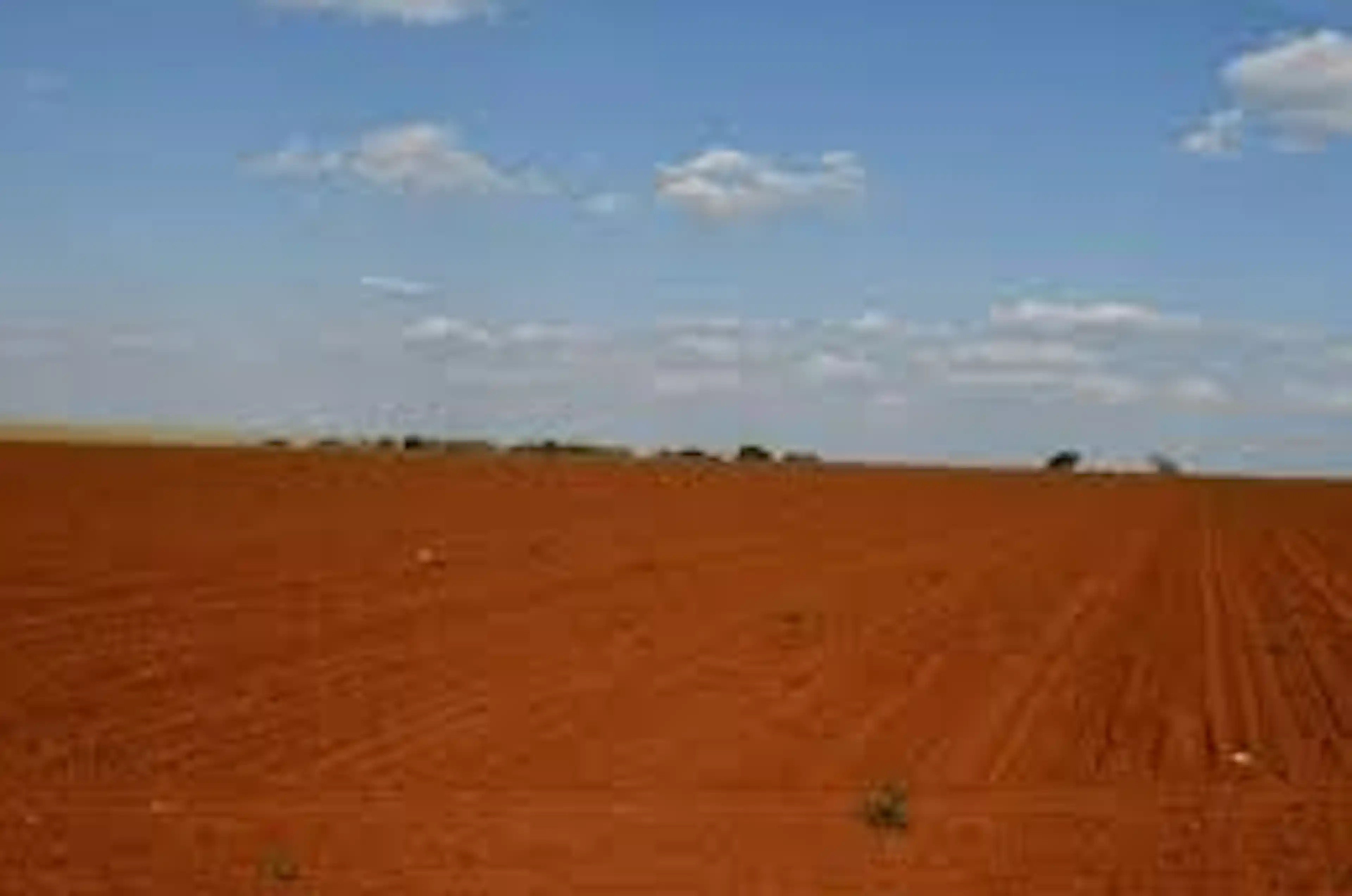 Terreno 8