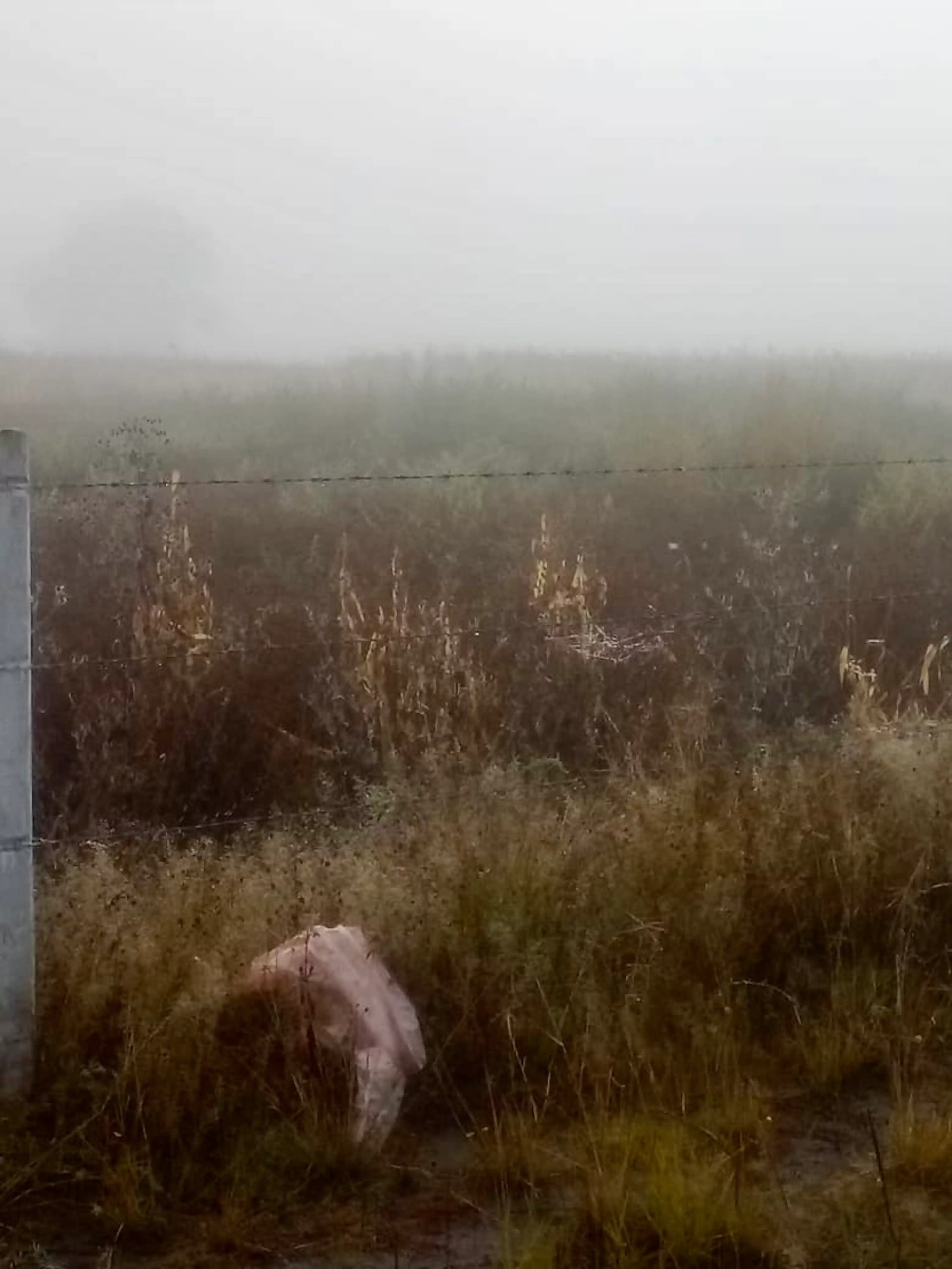 Terreno En Venta En San José De Chiapa, San José Chiapa, Puebla