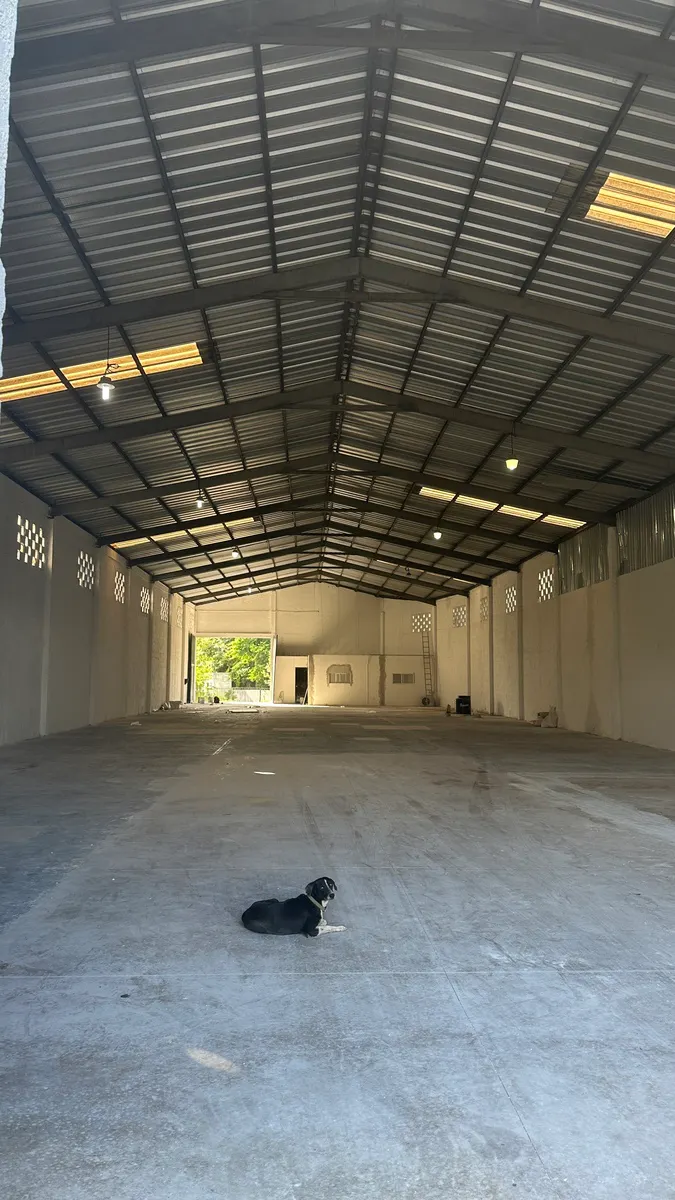 Industrial Spot2