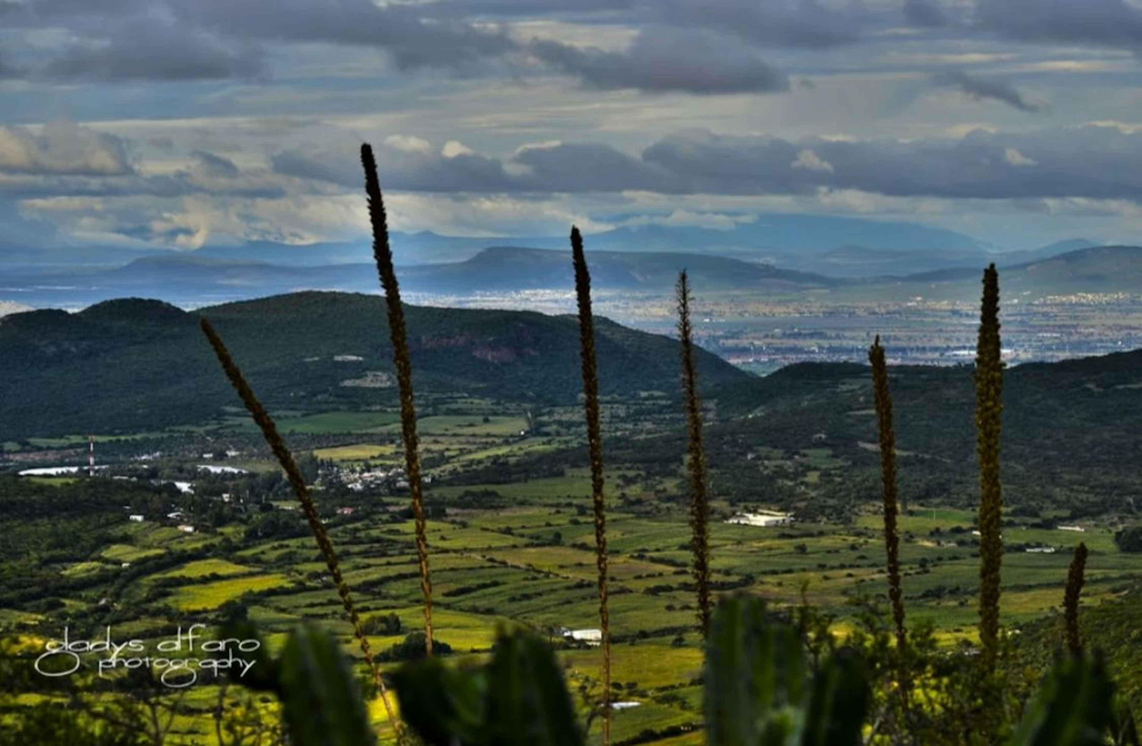 Terreno Cerril 10,000 M2 En Venta