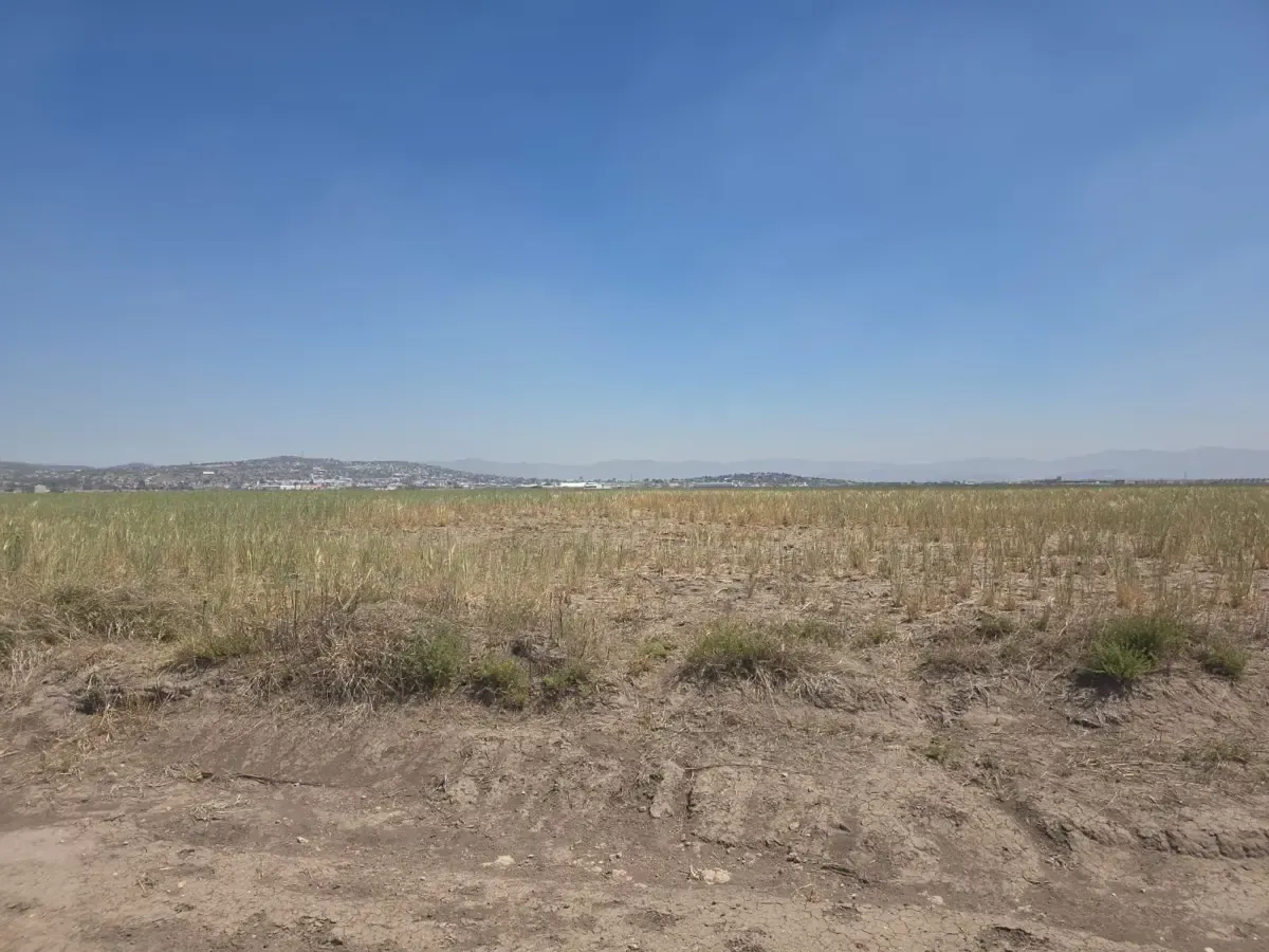 Terreno Spot2