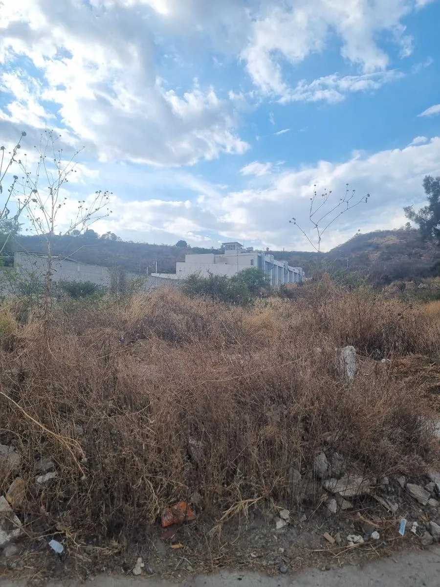 Terreno Spot2