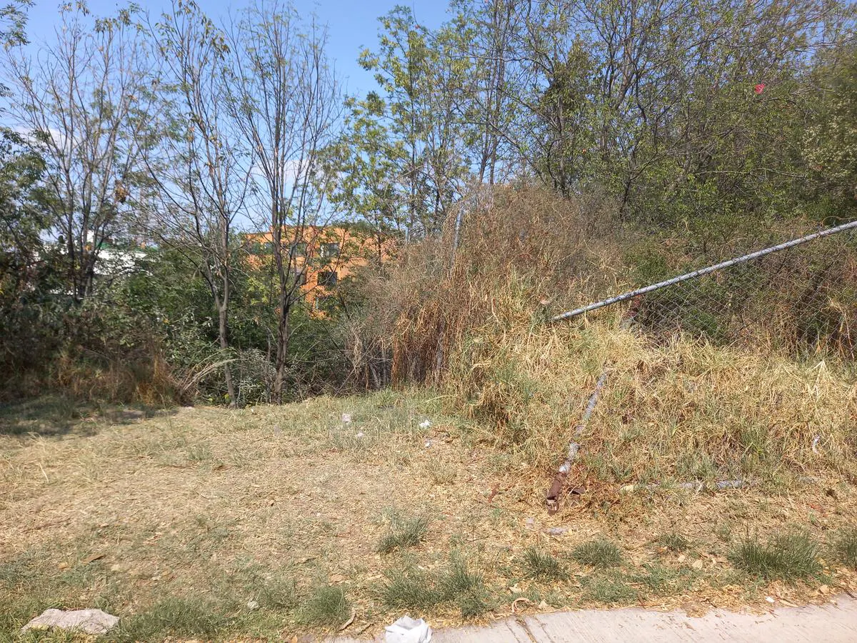 Terreno Spot2