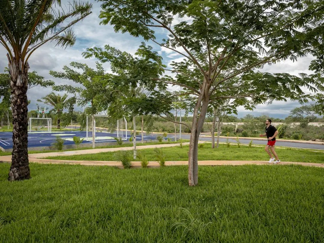 Terreno Spot2
