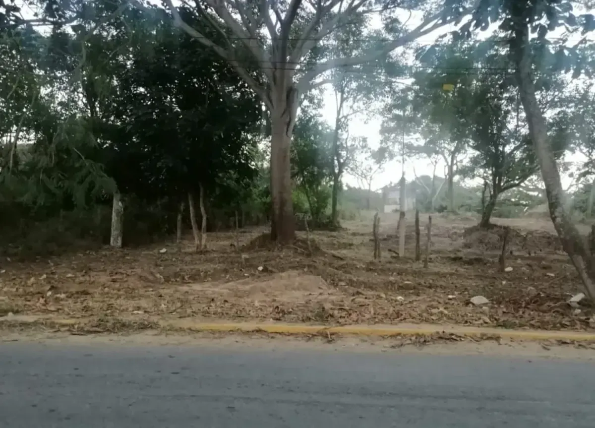 Terreno Spot2
