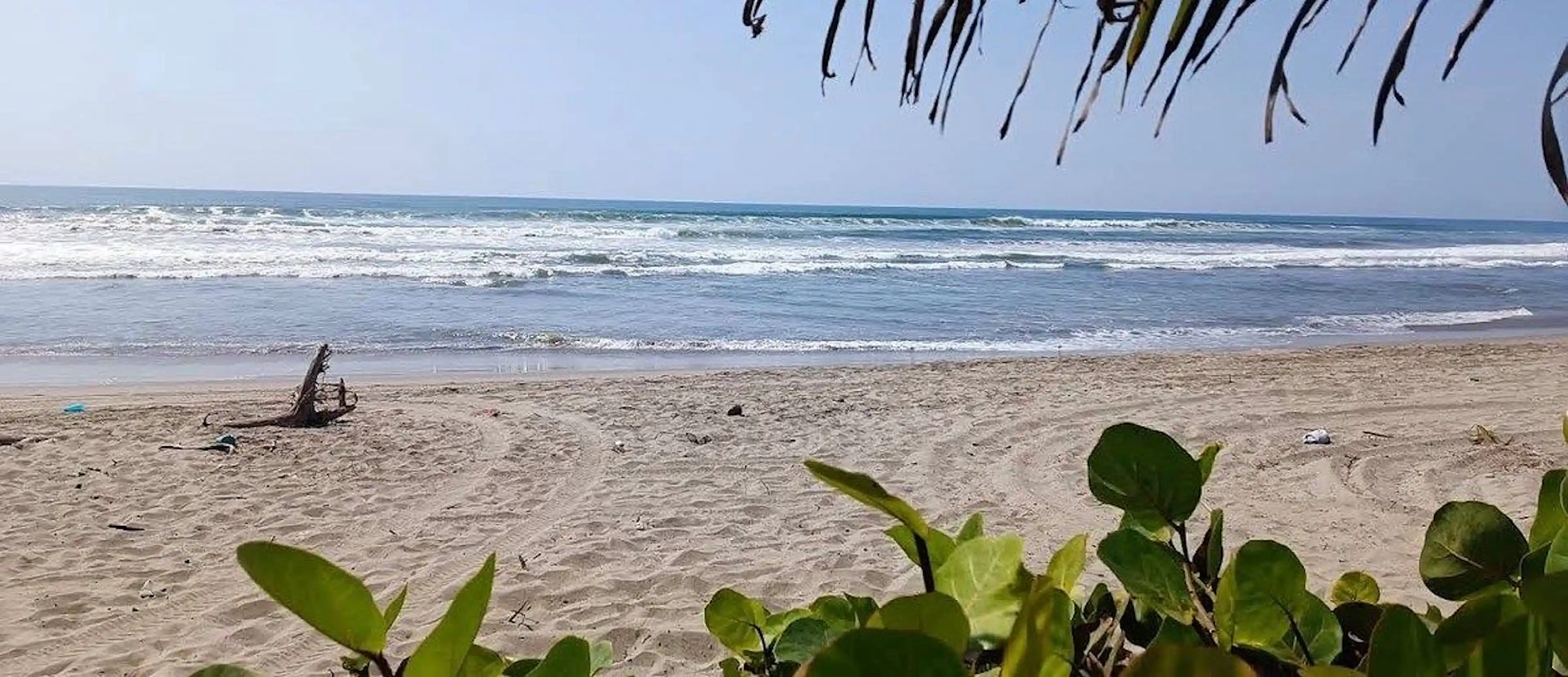 Terrenos Premium Frente Al Mar En Venta Playa Encantada – Tres Vidas Acapulco, G