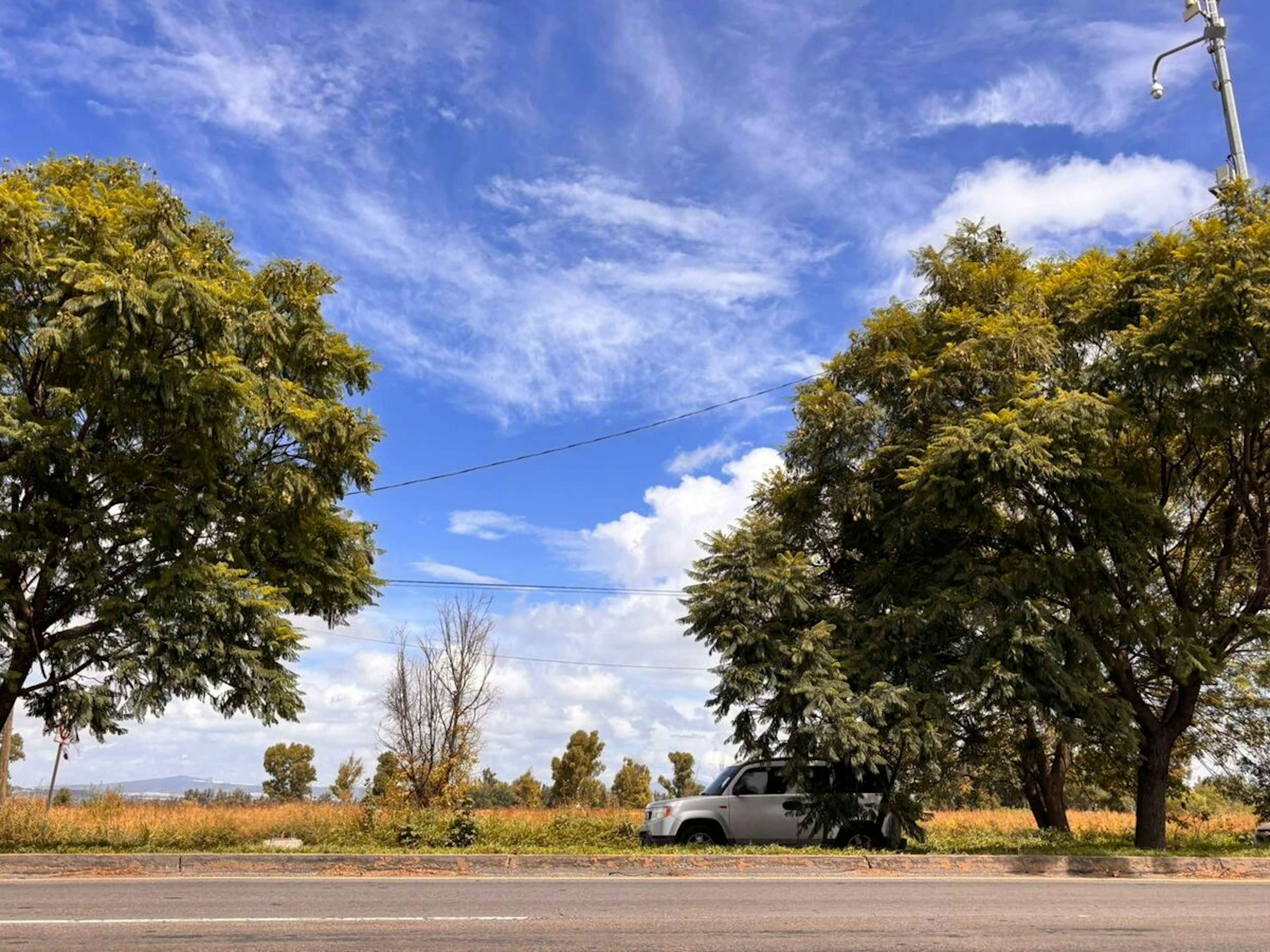 Querétaro 100 Lote24