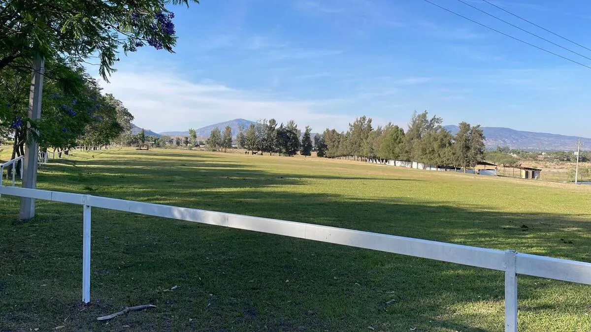 Terreno Spot2