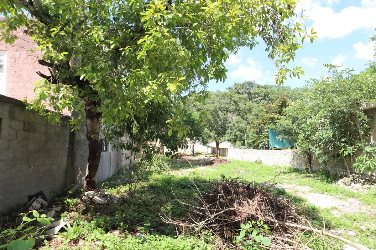Terreno Spot2