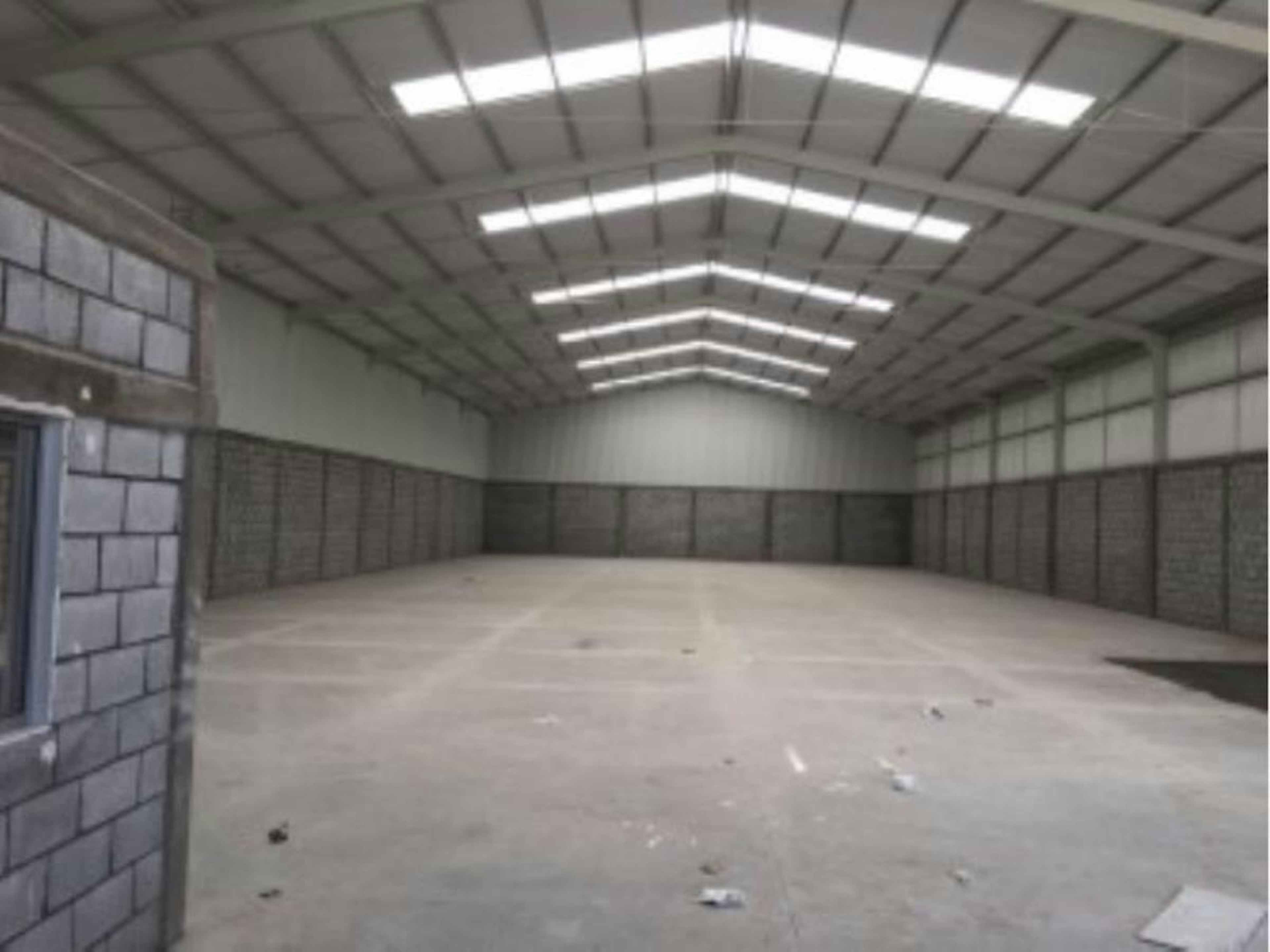 Francisco Sarabia 21