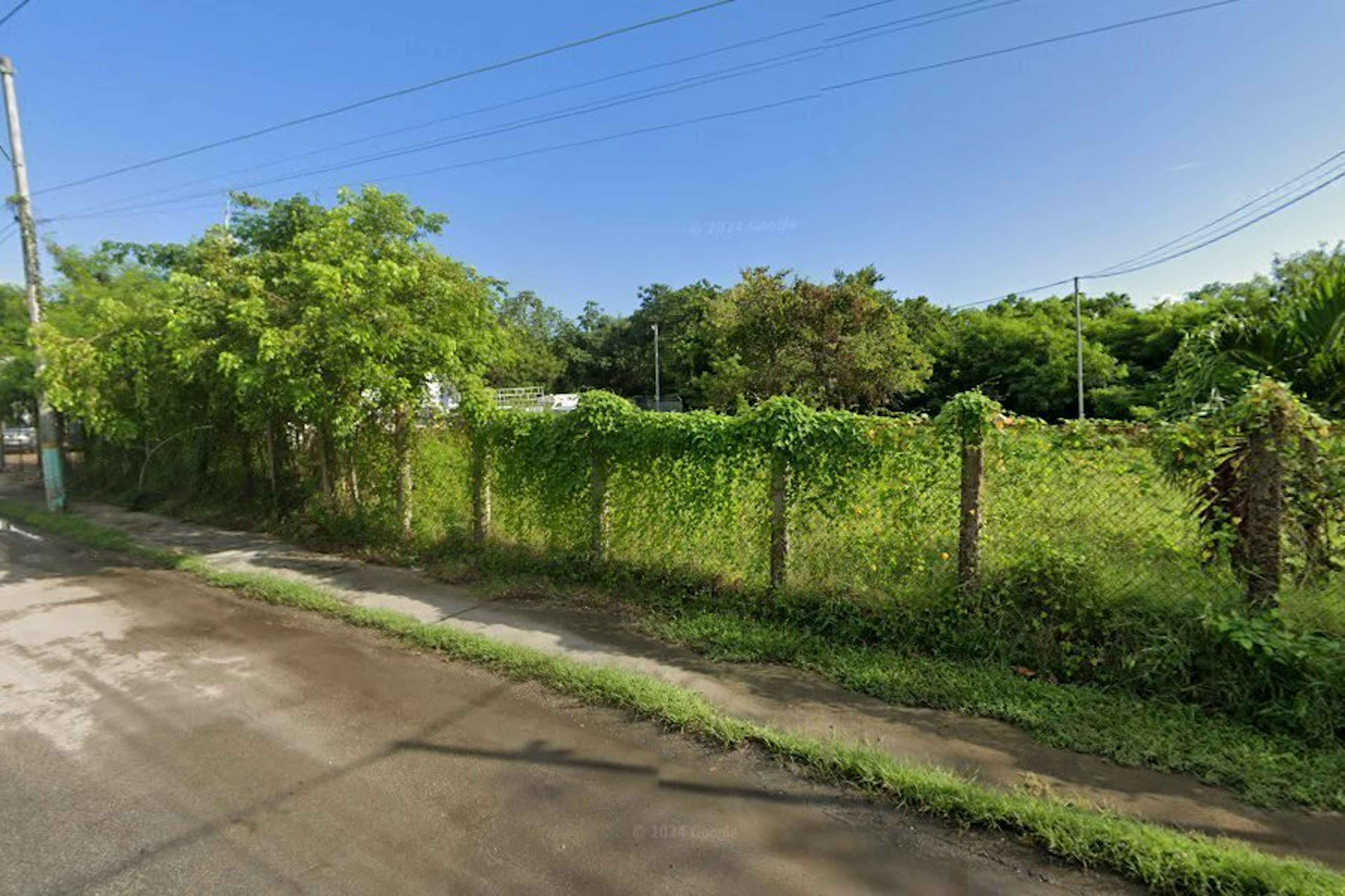 Avenida Álvaro Obregón 299