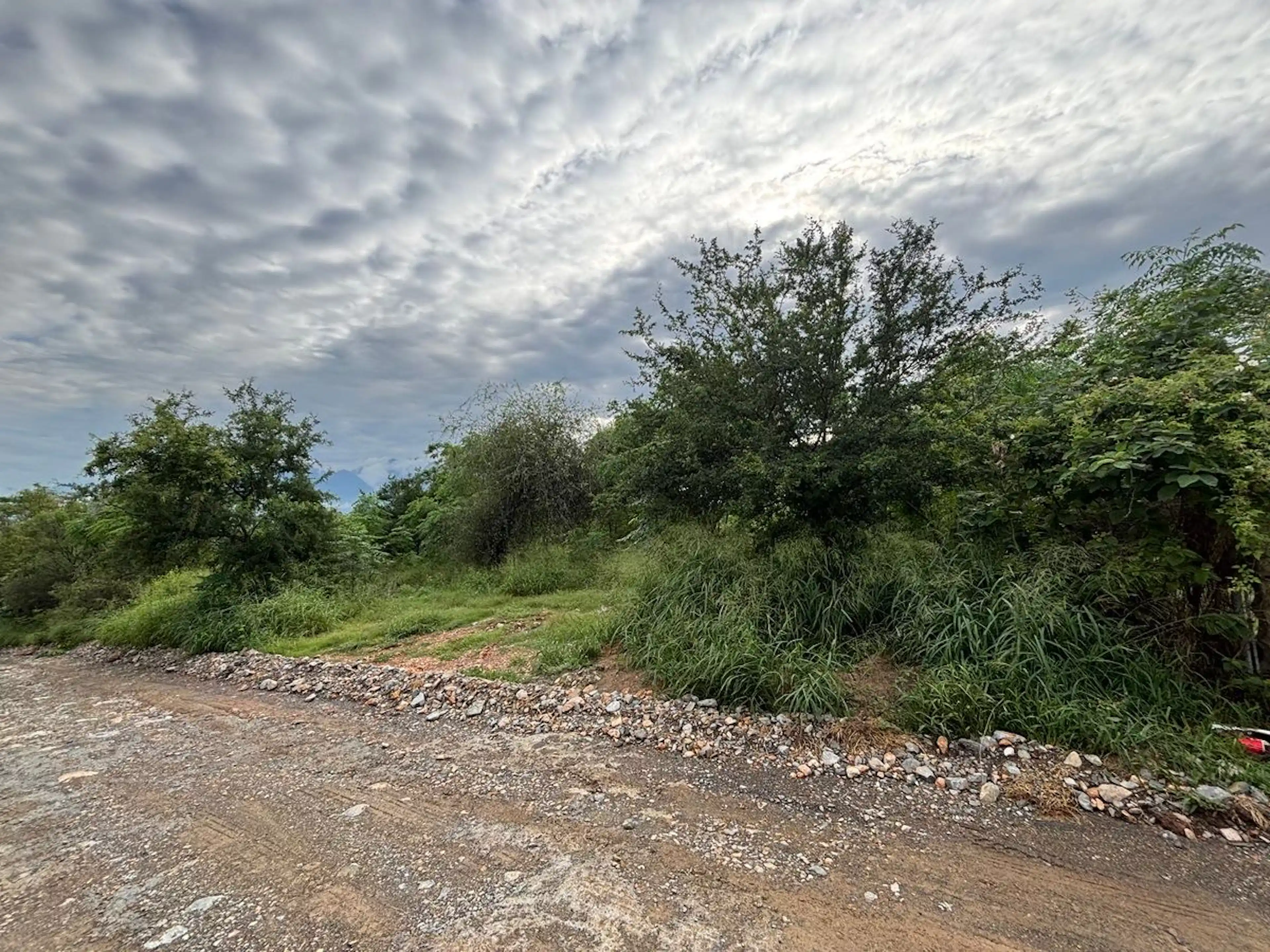 Terreno En Los Rodríguez