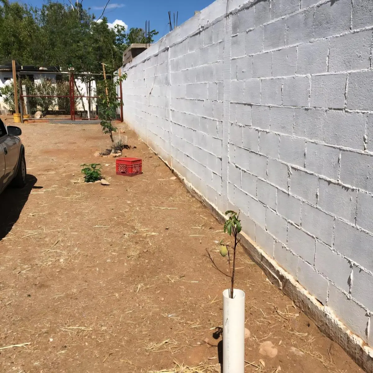 Terreno Spot2