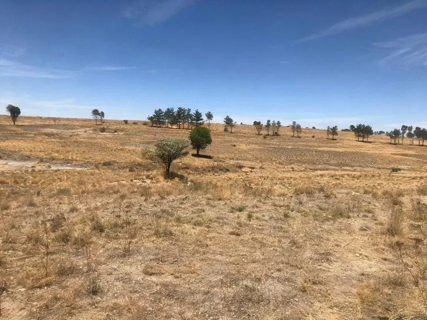 Terreno Spot2