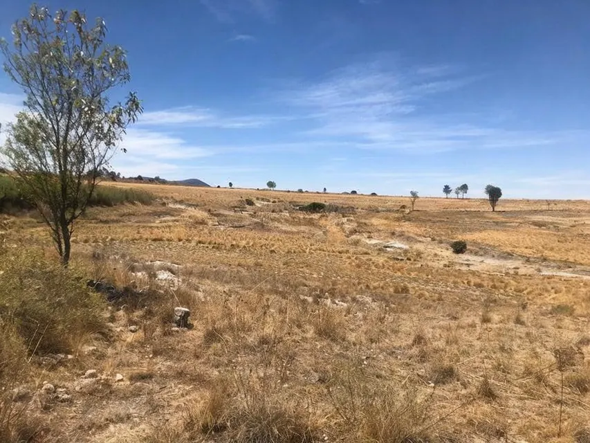 Terreno Spot2