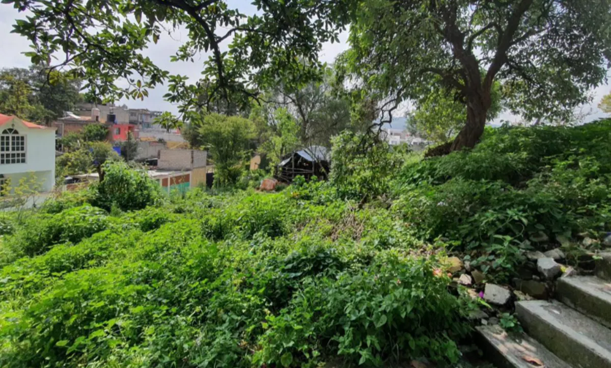 Terreno Spot2