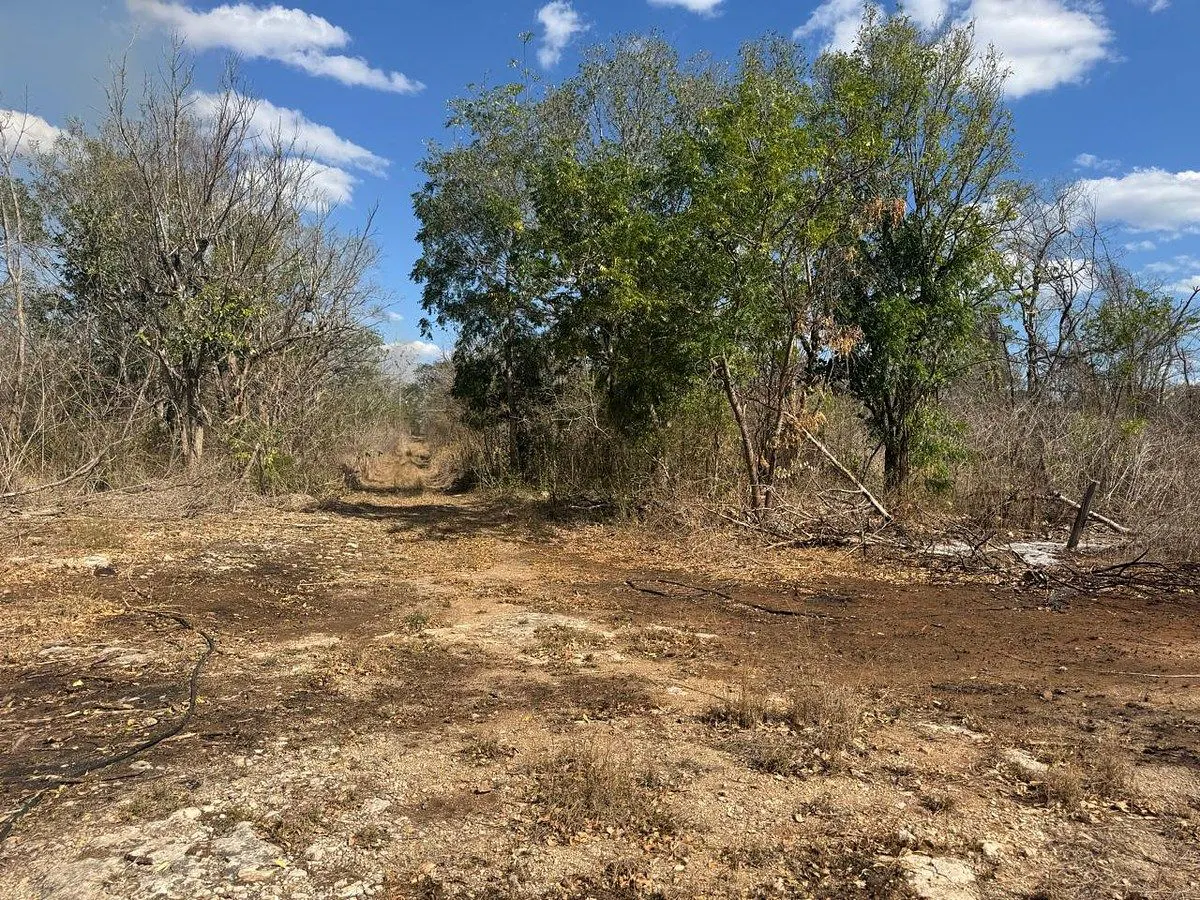Terreno Spot2
