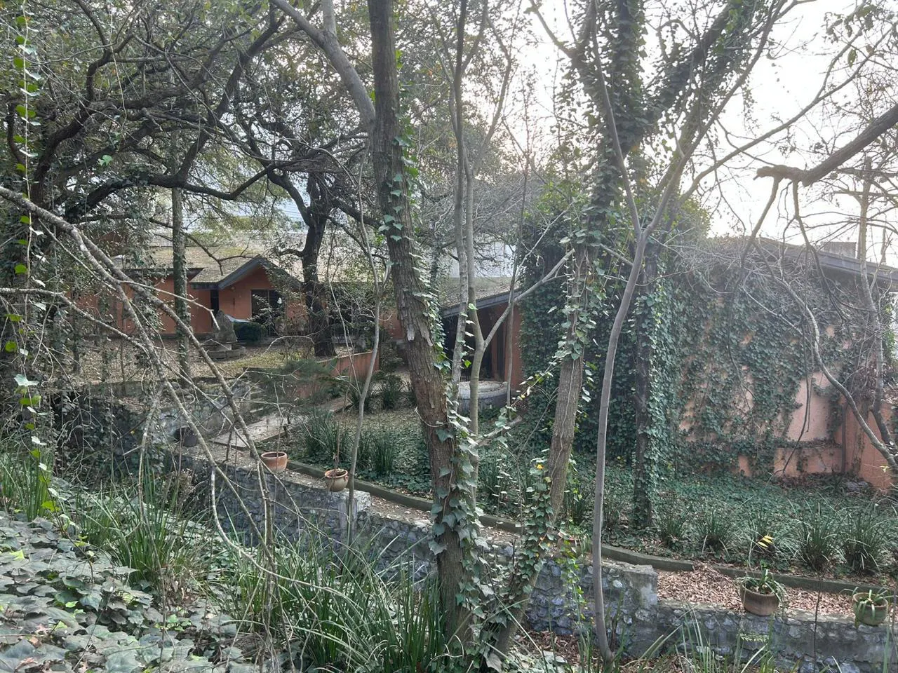 Terreno Spot2
