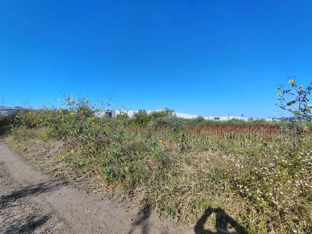 Terreno Spot2