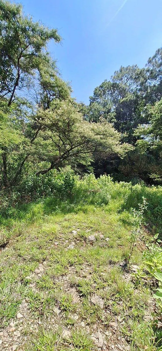 Terreno Spot2
