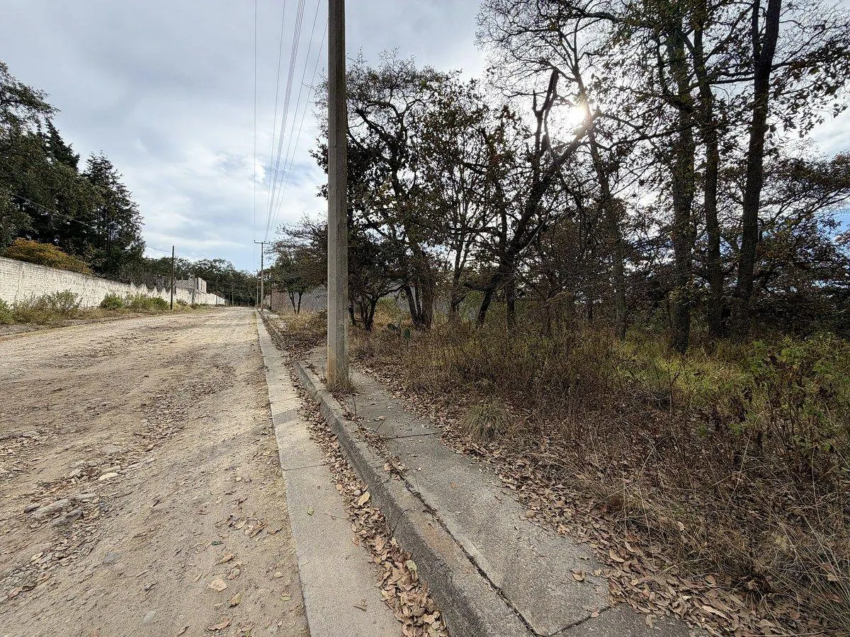 Terreno Spot2