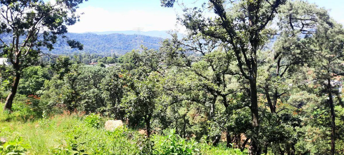 Terreno Spot2