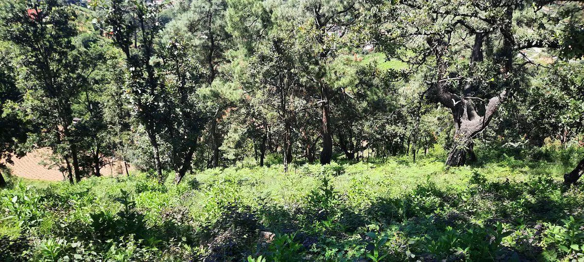 Terreno Spot2