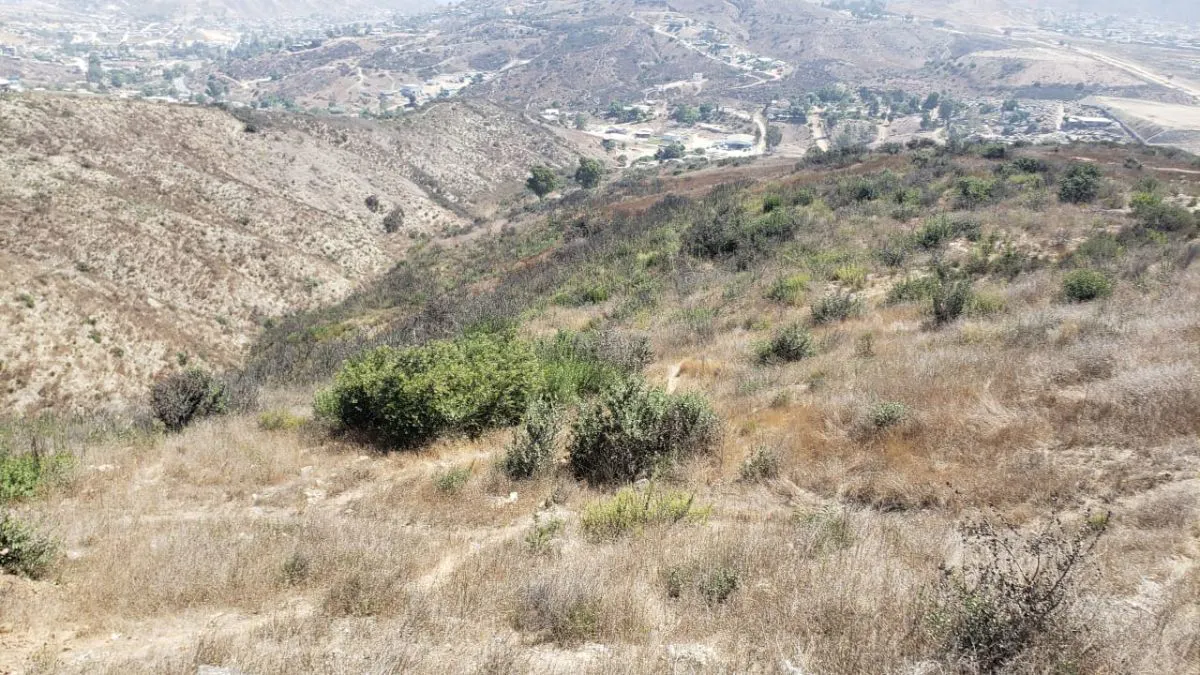 Terreno Spot2