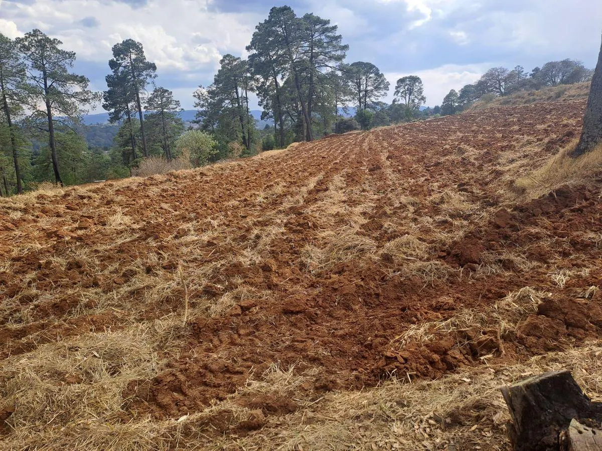 Terreno Spot2