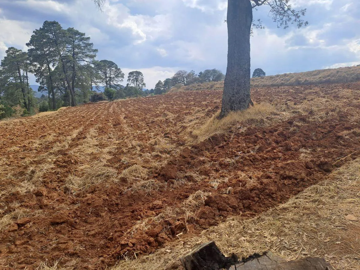 Terreno Spot2