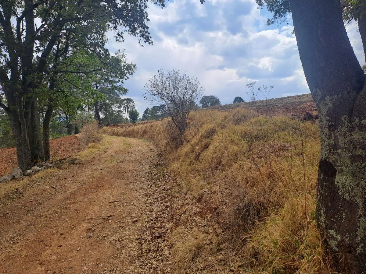 Terreno Spot2