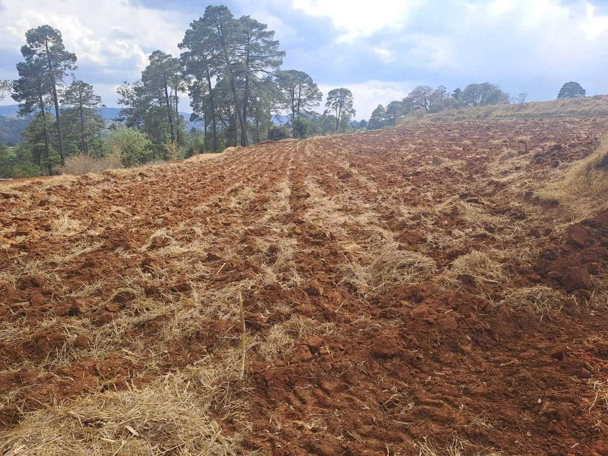 Terreno Spot2