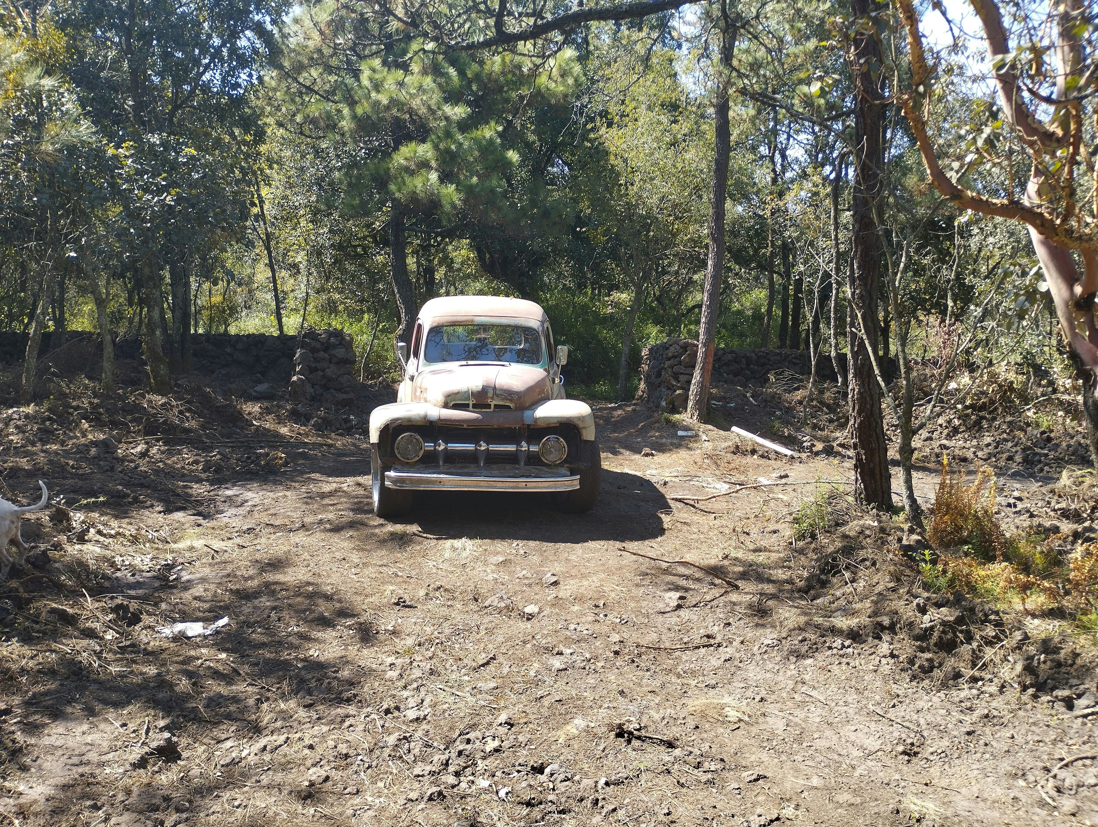 La imagen muestra un terreno rústico con vegetación y árboles, donde se destaca un vehículo antiguo estacionado. Ideal para proyectos que busquen integrar elementos naturales y vintage.