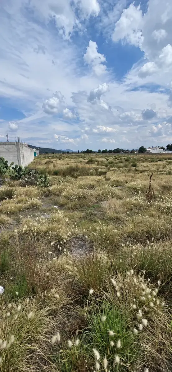 Terreno Spot2
