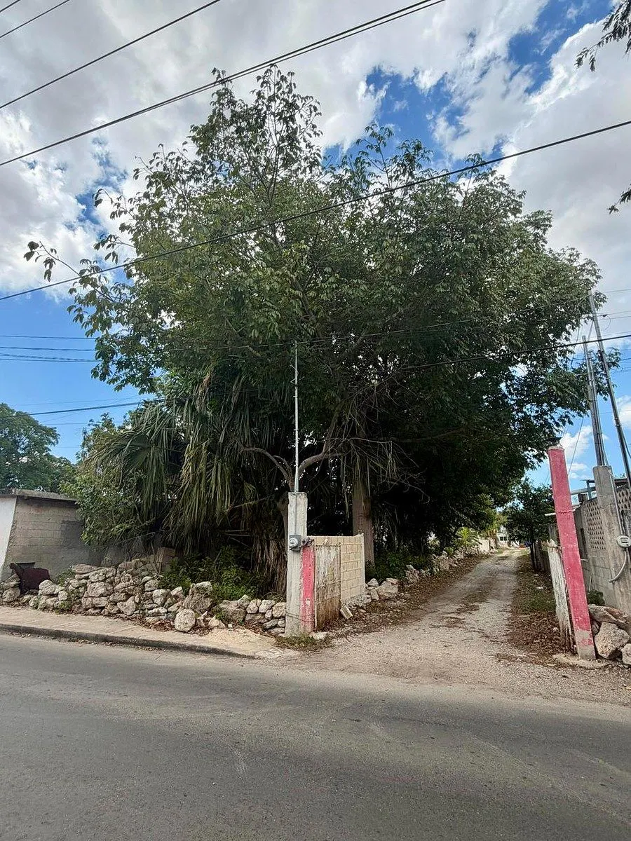 Terreno Spot2