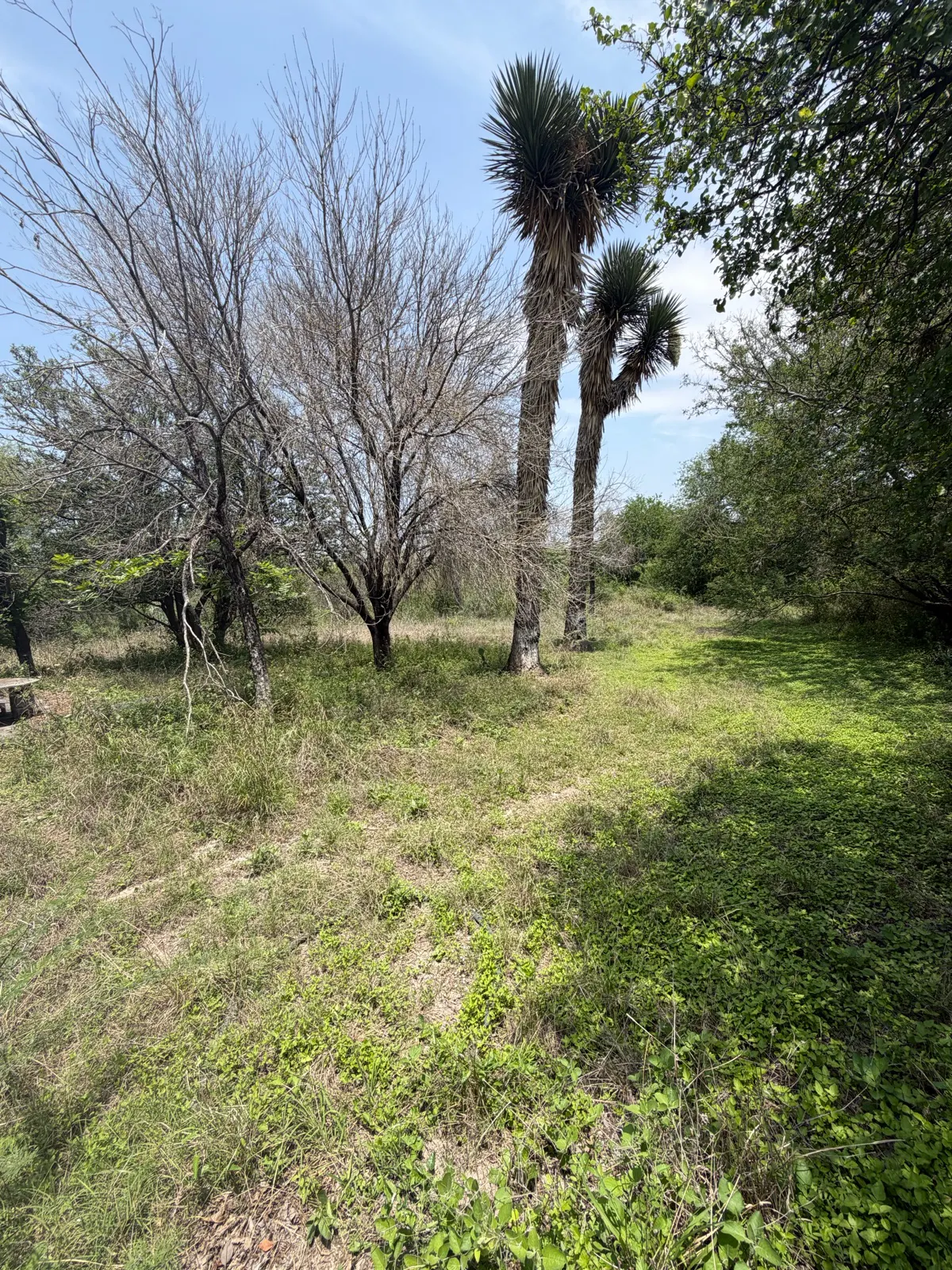 Terreno Spot2