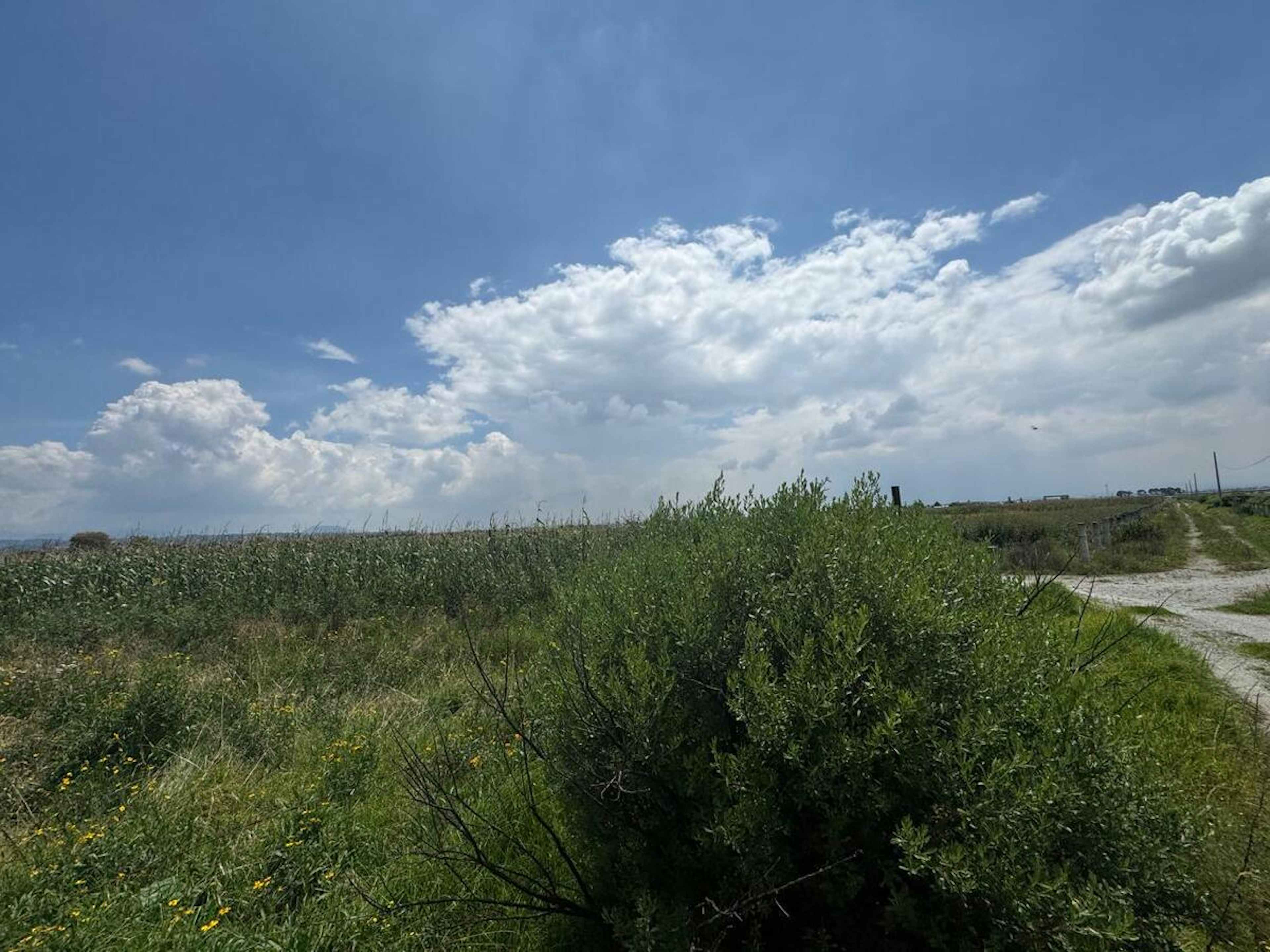 Carretera Toluca-naucalpan 42