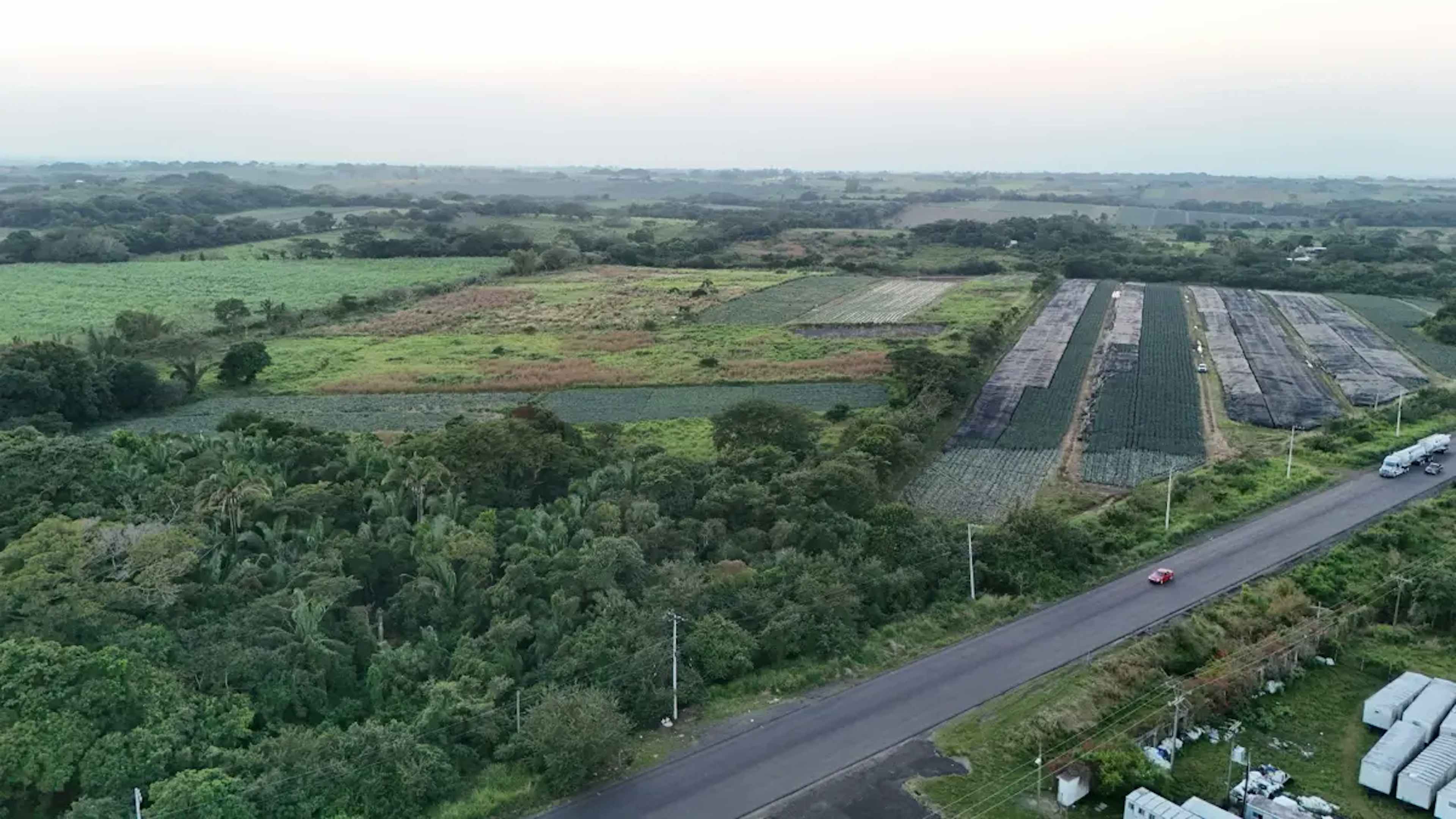 Terreno En Venta En La Laguna Y Monte Del Castillo, Medellín De Bravo, Veracruz De Ignacio De La Llave