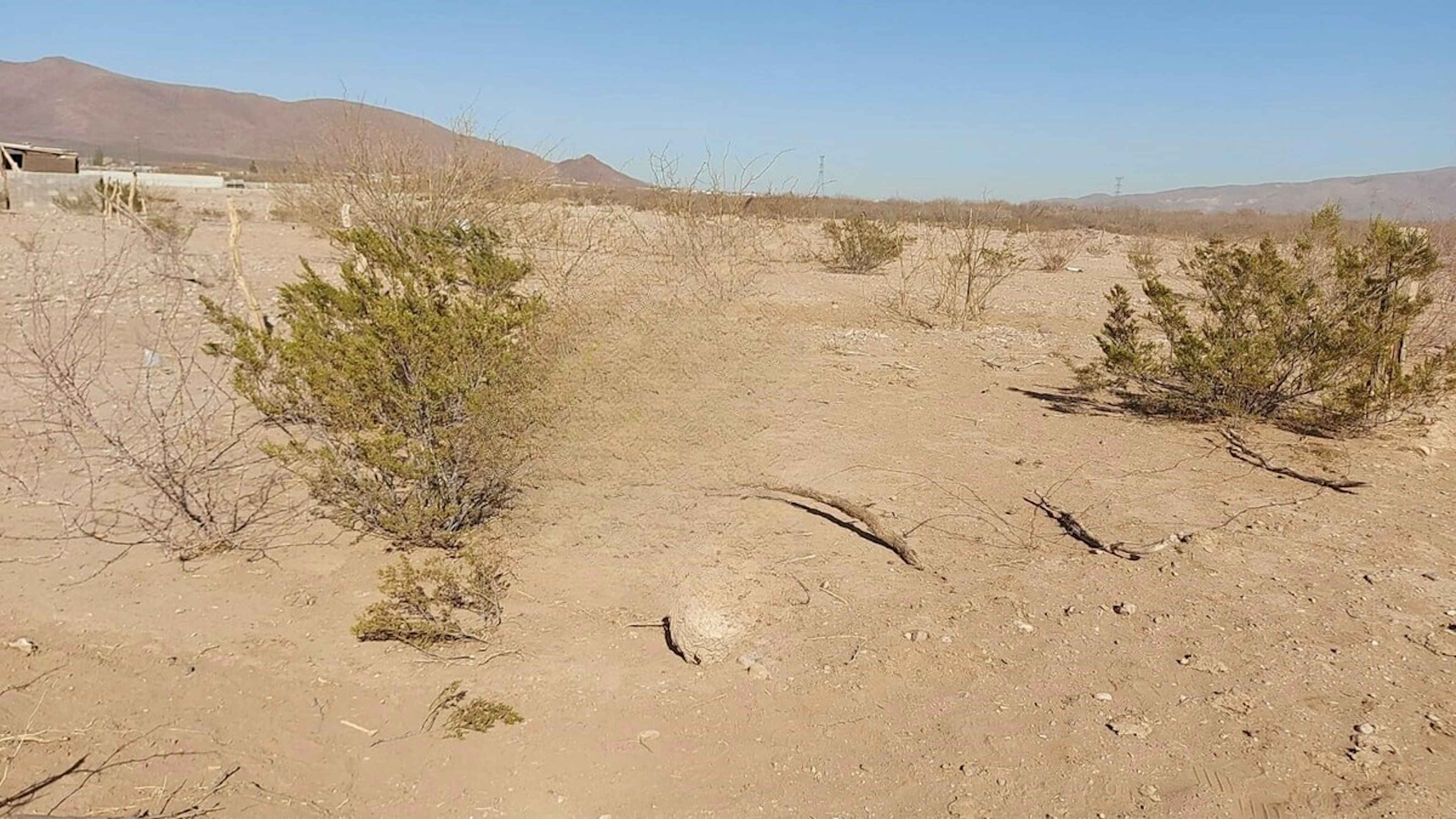 Ojinaga - Chihuahua S/n