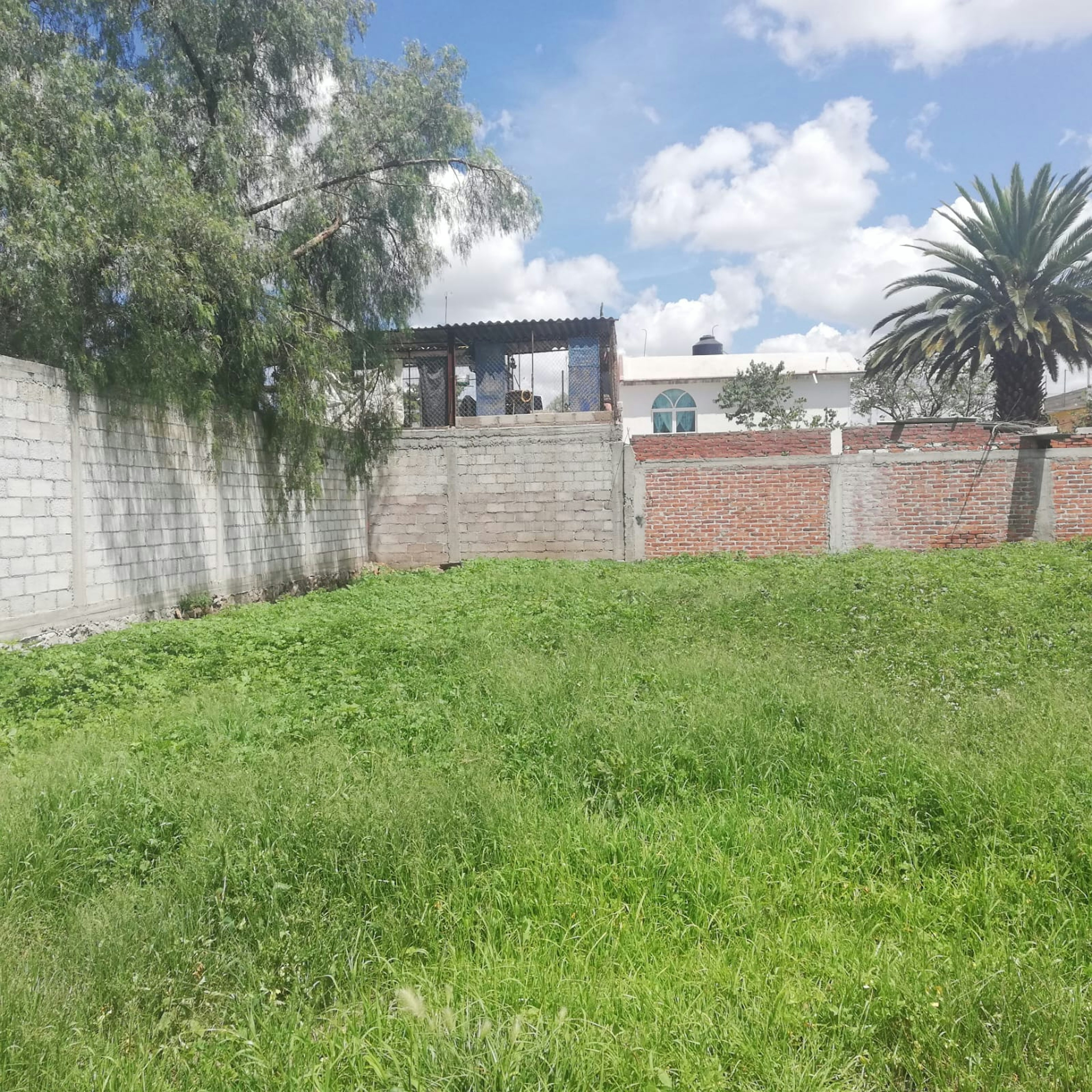 Terreno vacío con vegetación, rodeado por una cerca de ladrillo y malla, con árboles y una construcción al fondo bajo un cielo parcialmente nublado. Ideal para desarrollo inmobiliario.