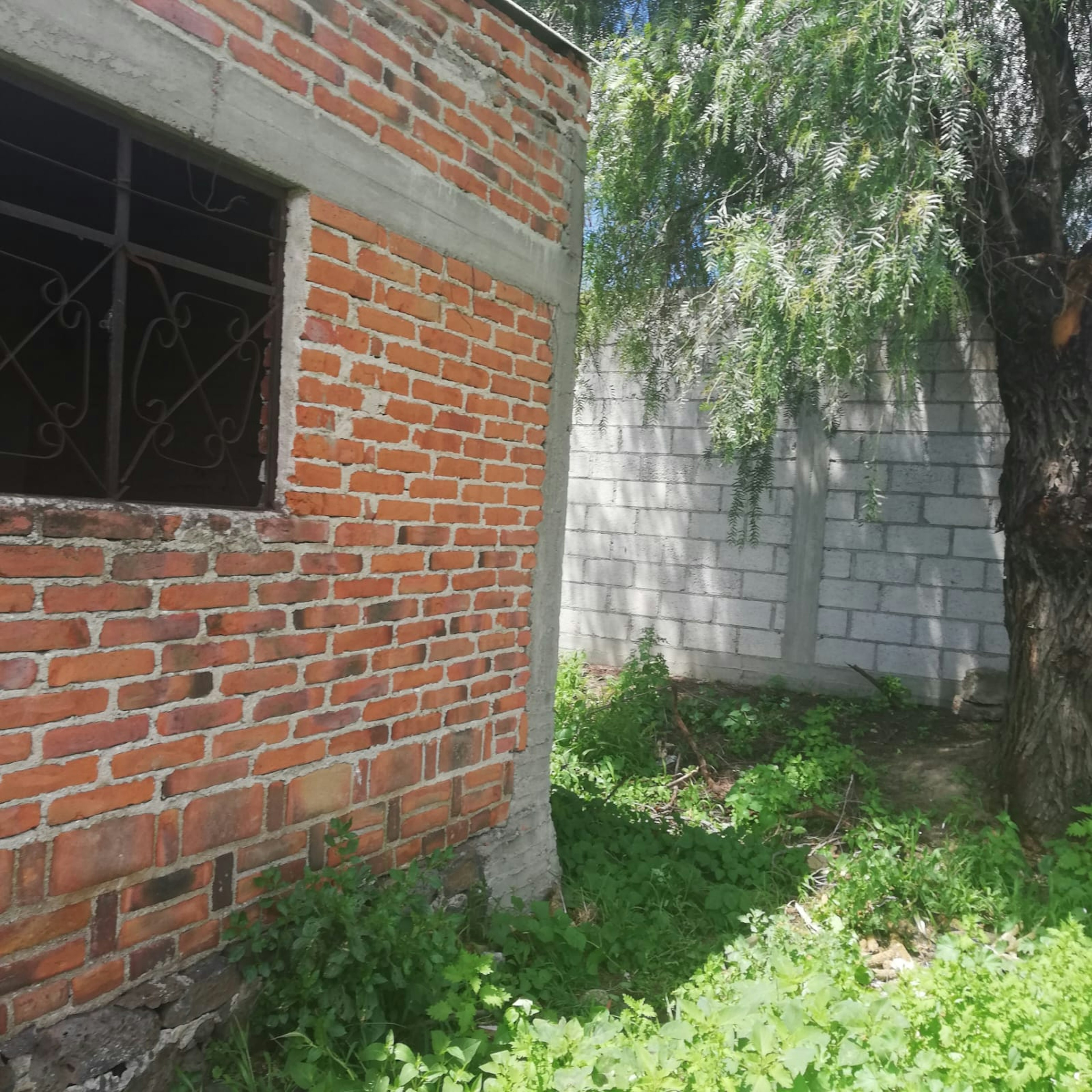 La imagen muestra una construcción parcialmente terminada con ladrillos rojos expuestos y una ventana con rejas. La vegetación circundante sugiere un mantenimiento descuidado. Ideal para renovar.