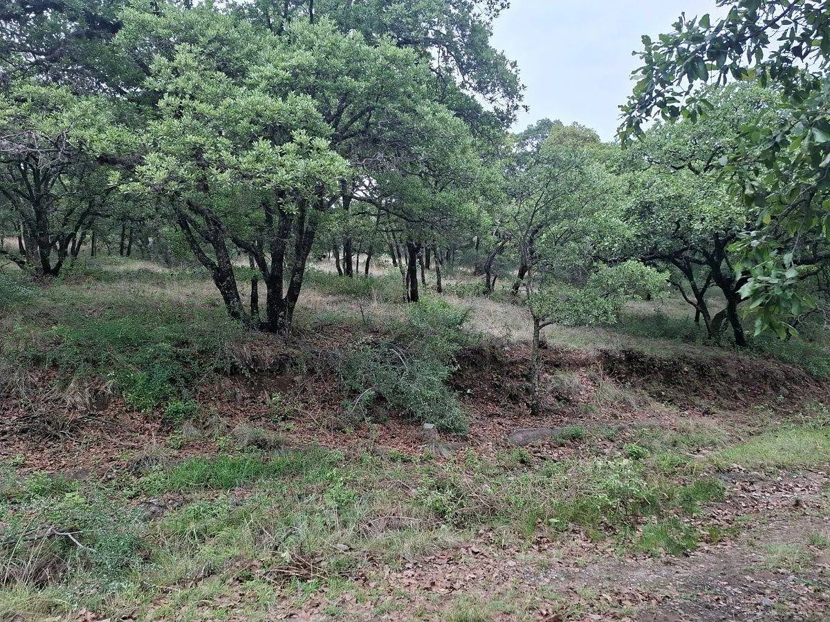 Terreno Spot2