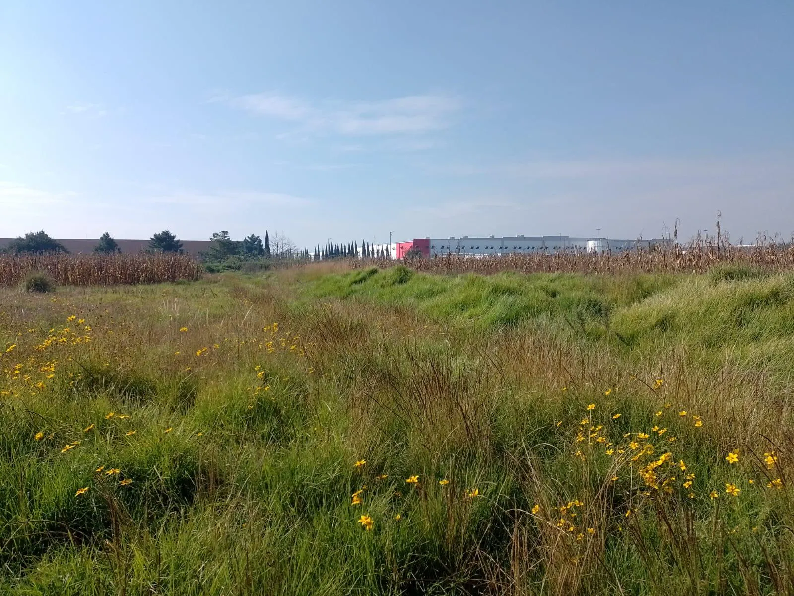 Terreno Spot2