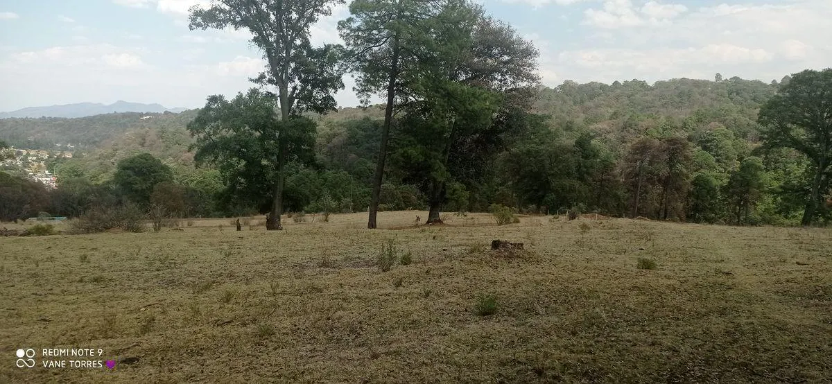 Terreno Spot2
