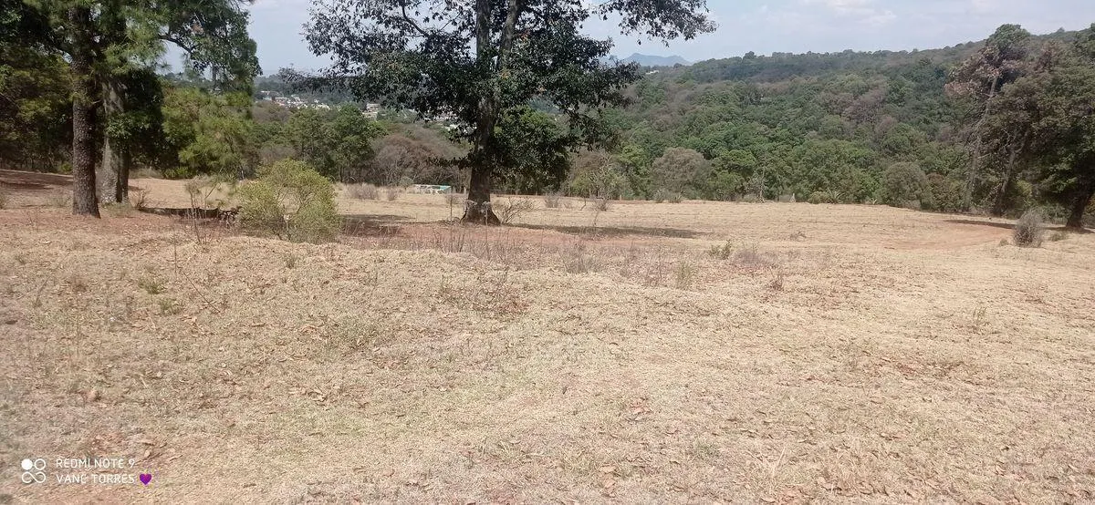 Terreno Spot2